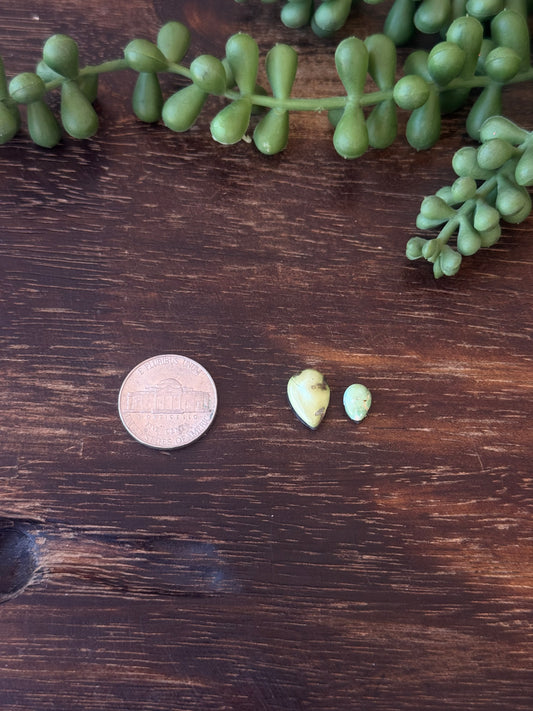 Sonoran Mountain Turquoise Cabs