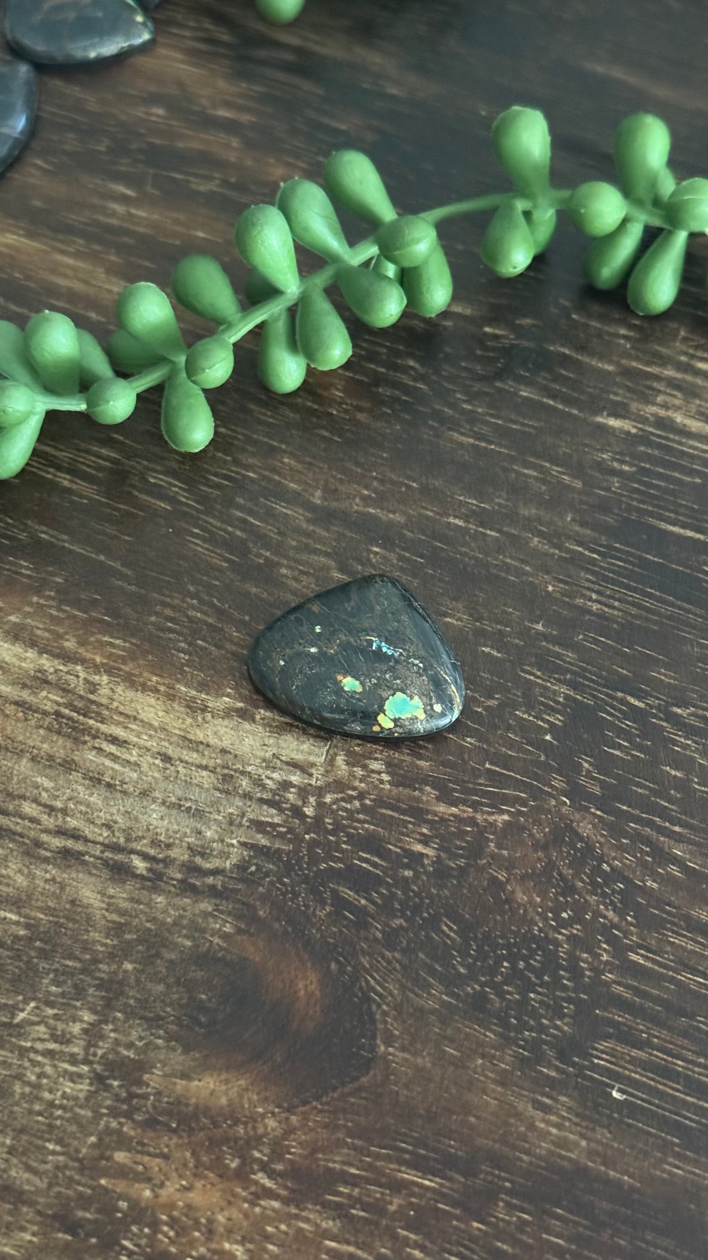 Black Jack Turquoise Cab