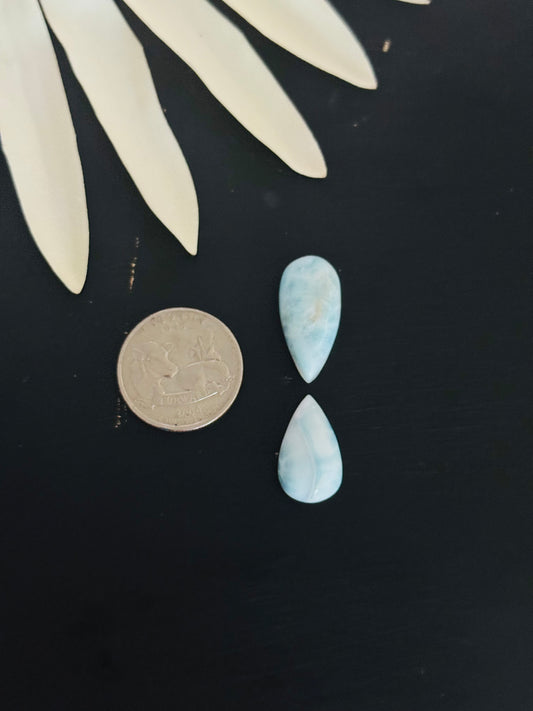 Larimar Cabs
