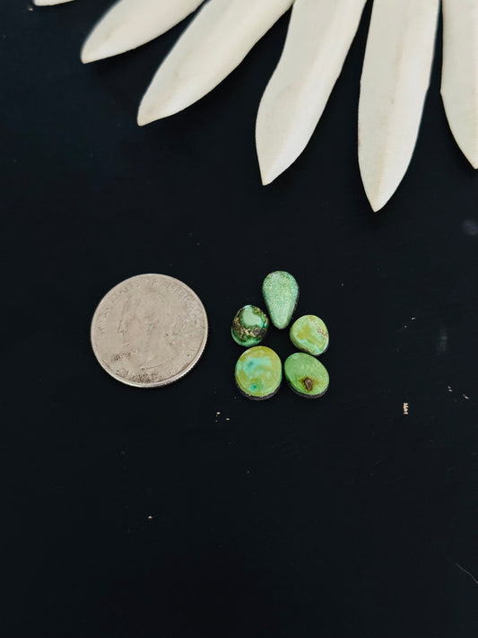 Natural Sonoran Gold Turquoise Cabs