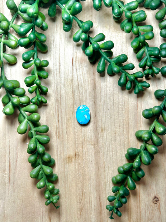 Blue Ridge Turquoise Cab