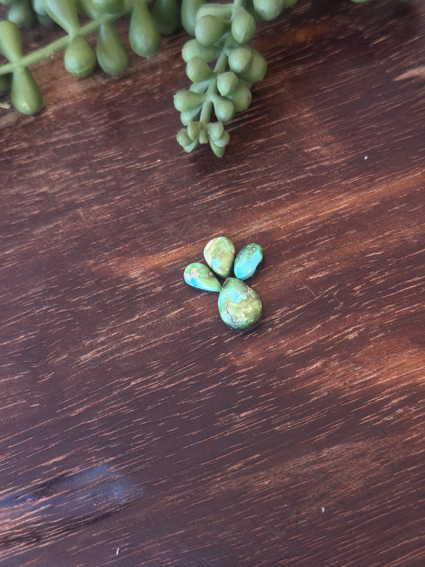 Sonoran Mountain Turquoise Cabs