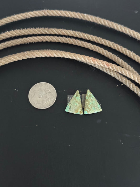 #8 Turquoise Earring Pair Cabs