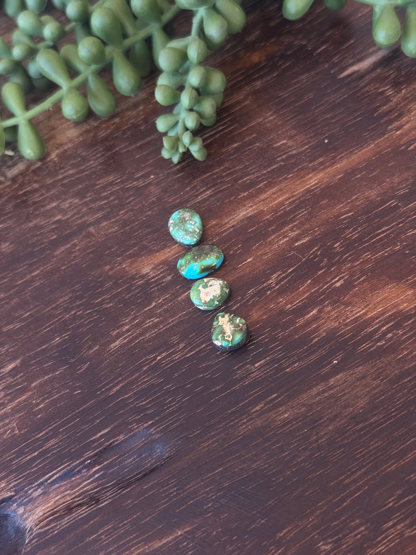 Sonoran Mountain Turquoise Cabs