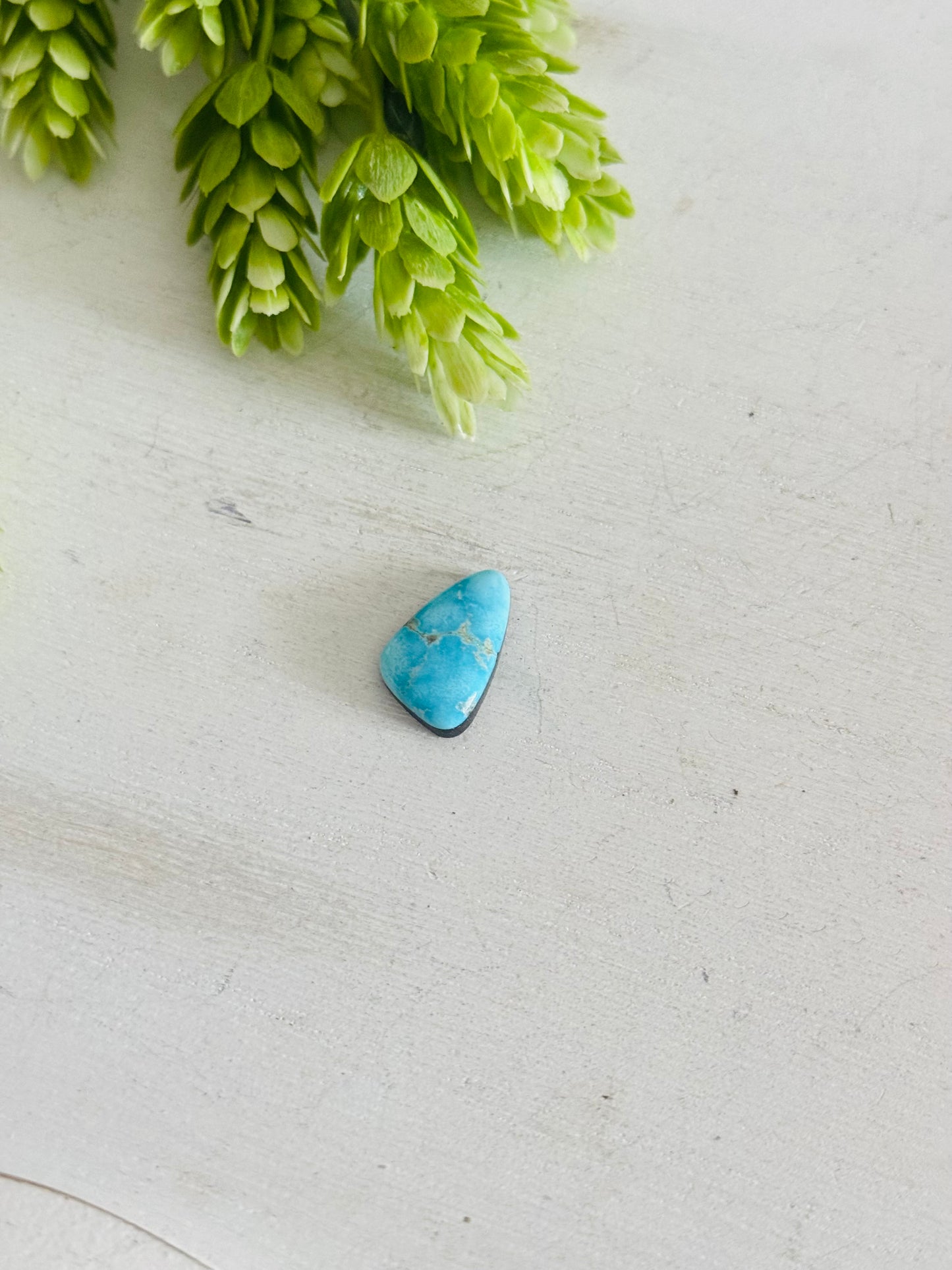 Blue Bird Turquoise Cab