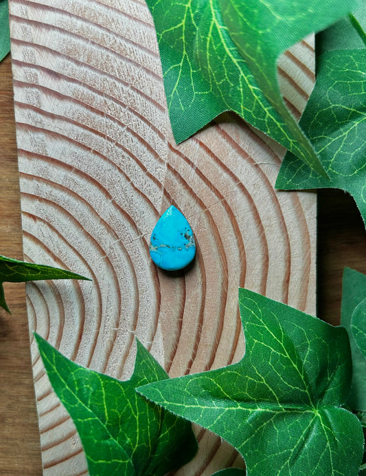 Blue Bird Turquoise Cabs