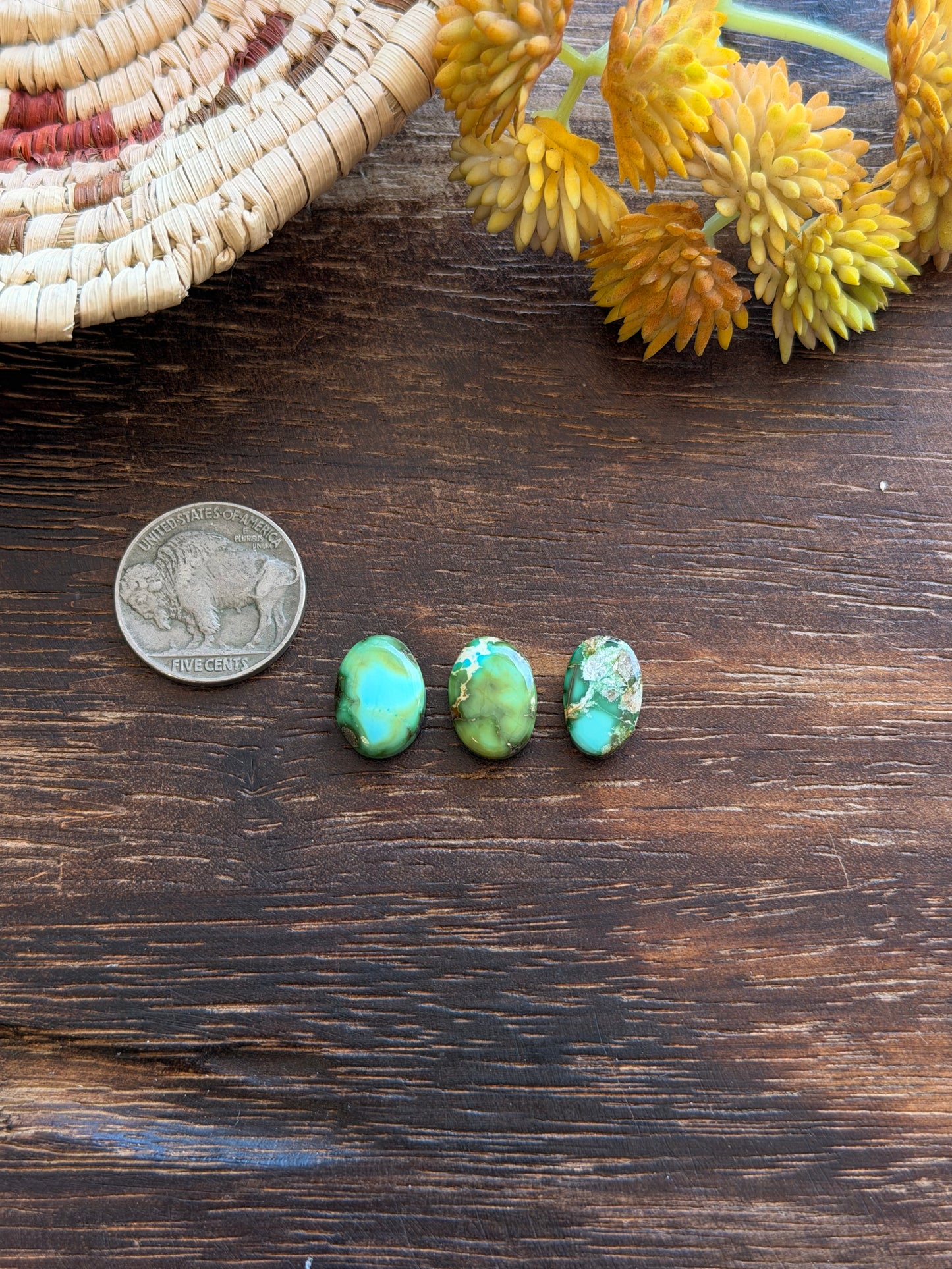 Sonoran Mountain Turquoise Cabs