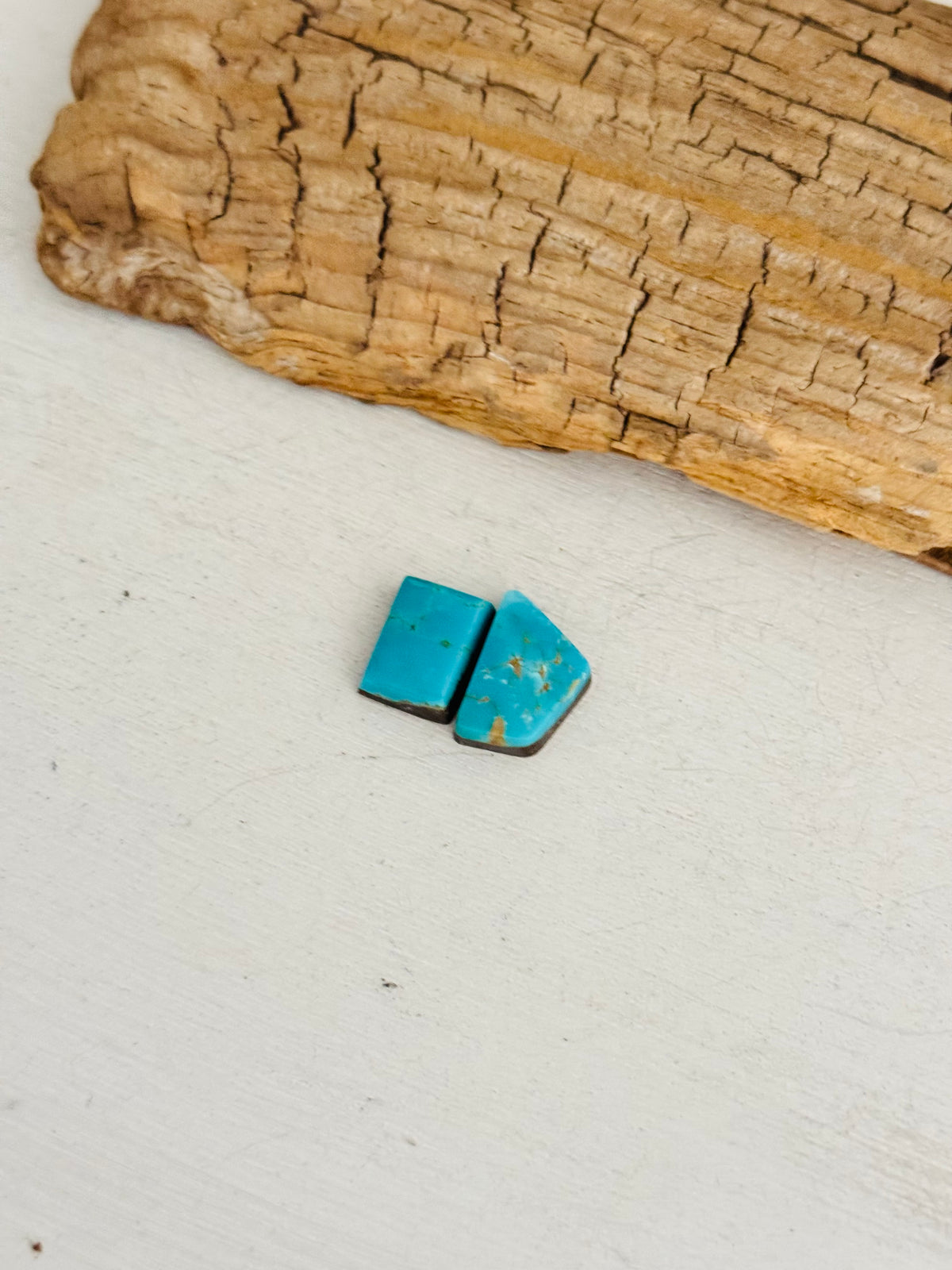 Natural Kings Manassa Turquoise Cabs