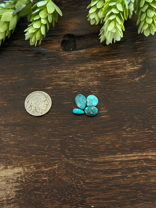 White Water Turquoise Cabs