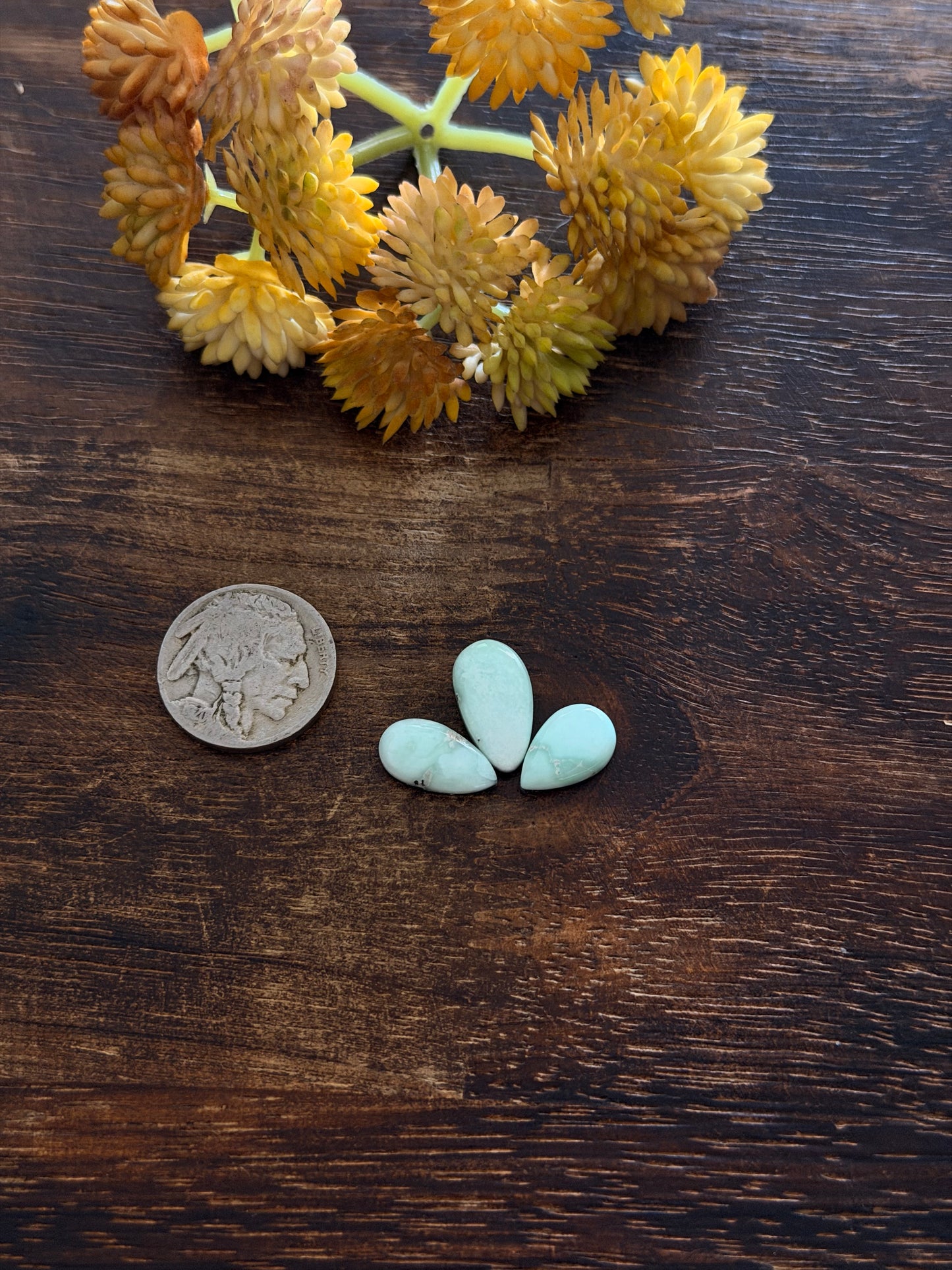 Paloma Variscite Cabs