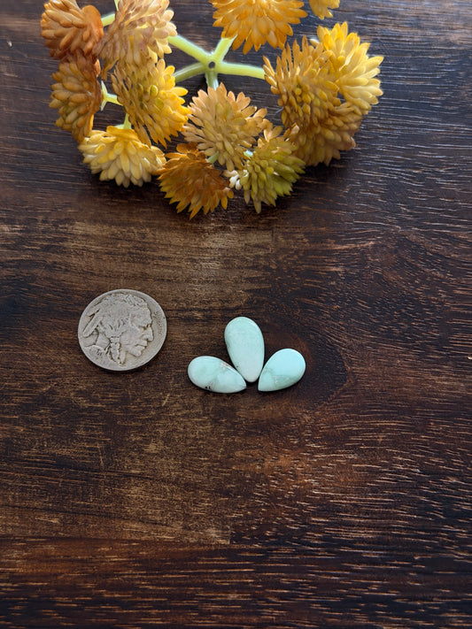 Paloma Variscite Cabs