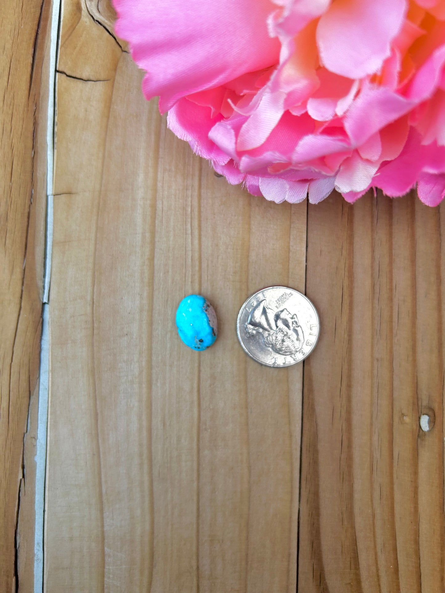 Blue Bird Turquoise Cabs
