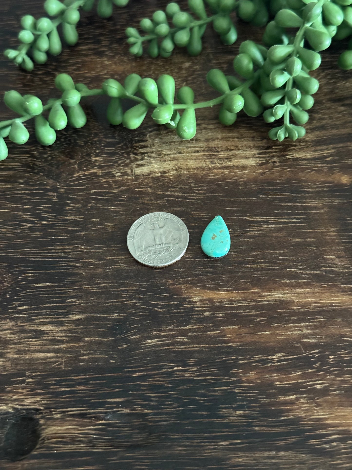 Kingman Turquoise Cab