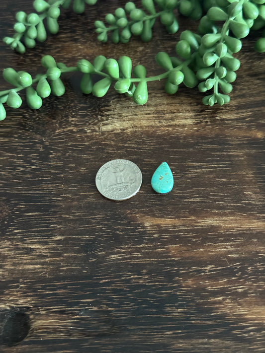 Kingman Turquoise Cab