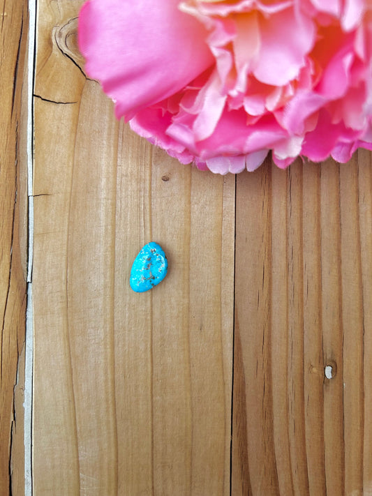 Blue Bird Turquoise Cabs
