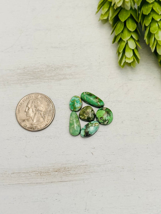 Natural Sonoran Gold Turquoise Cabs