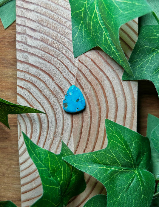 Blue Bird Turquoise Cabs