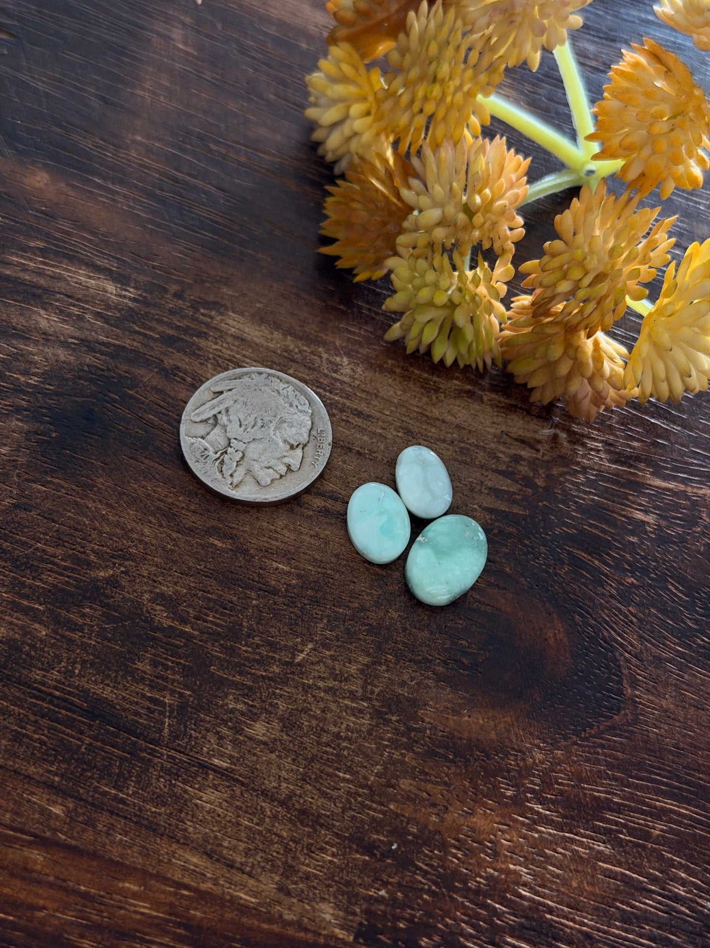 Paloma Variscite Cabs