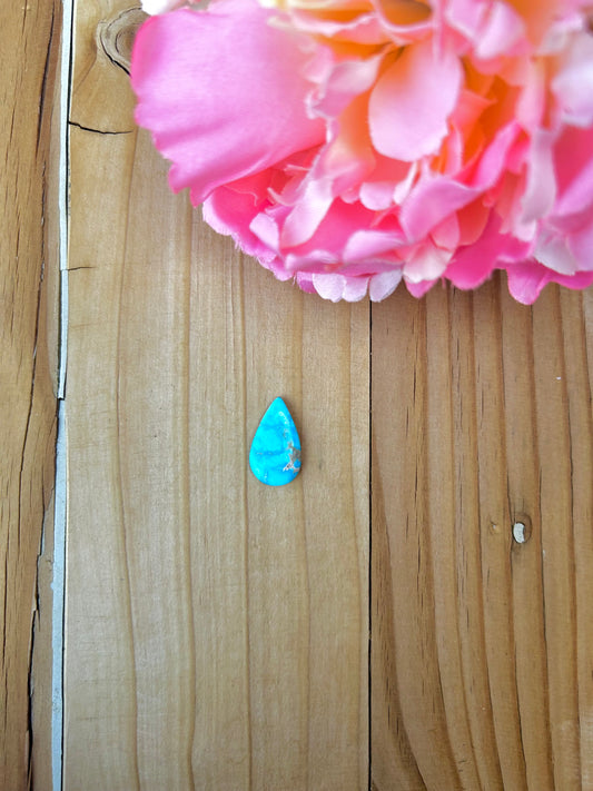 Blue Bird Turquoise Cabs