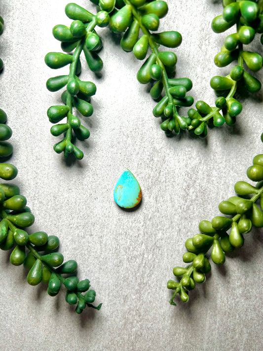 Kingman Turquoise Cab