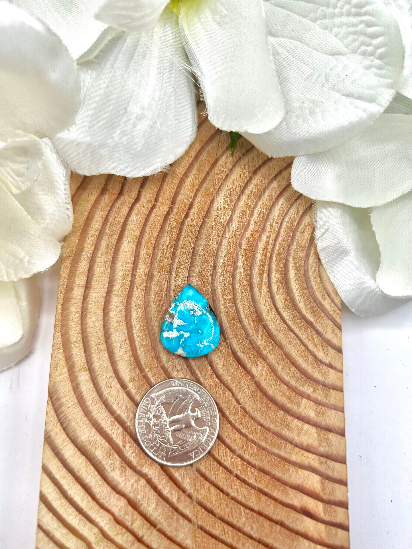 Blue Ridge Turquoise Cab