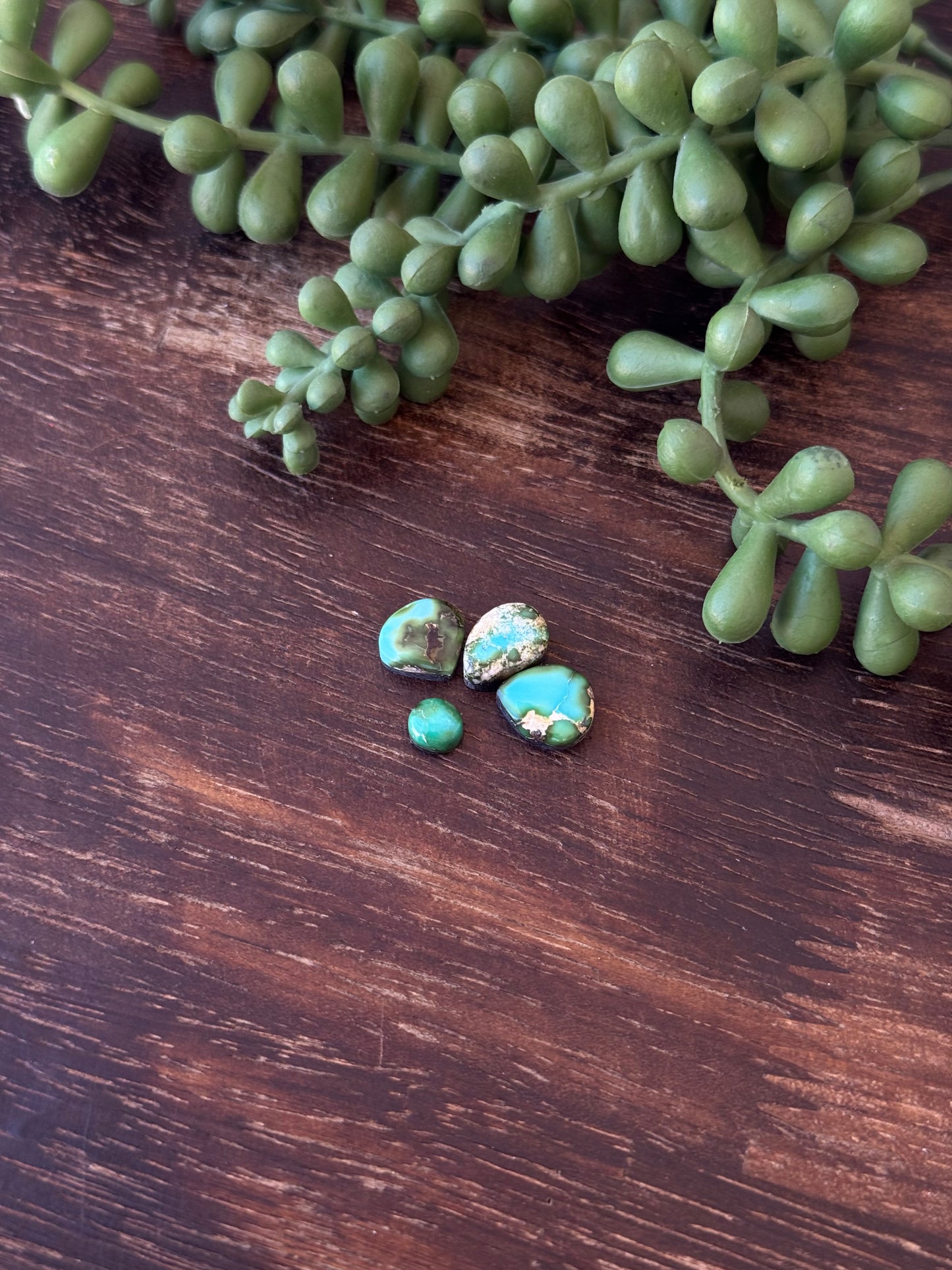 Sonoran Mountain Turquoise Cabs