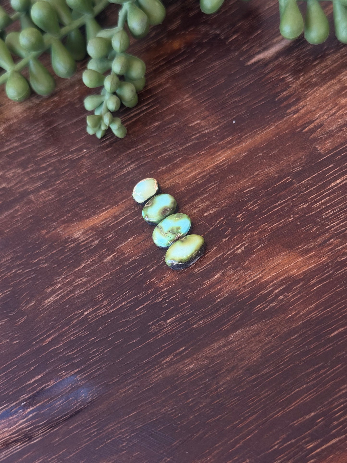 Sonoran Mountain Turquoise Cabs