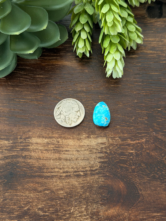 Blue Bird Turquoise Cab