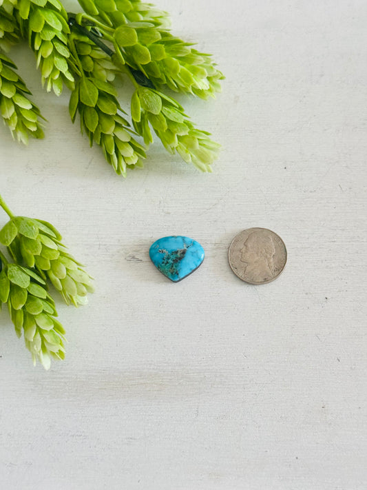 Blue Bird Turquoise Cab