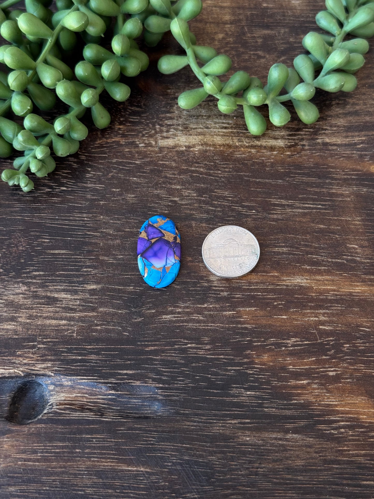 Purple Dahlia Composite Cabs