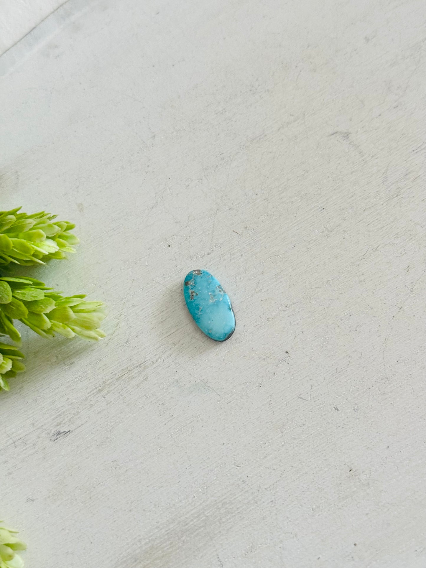 Blue Bird Turquoise Cab