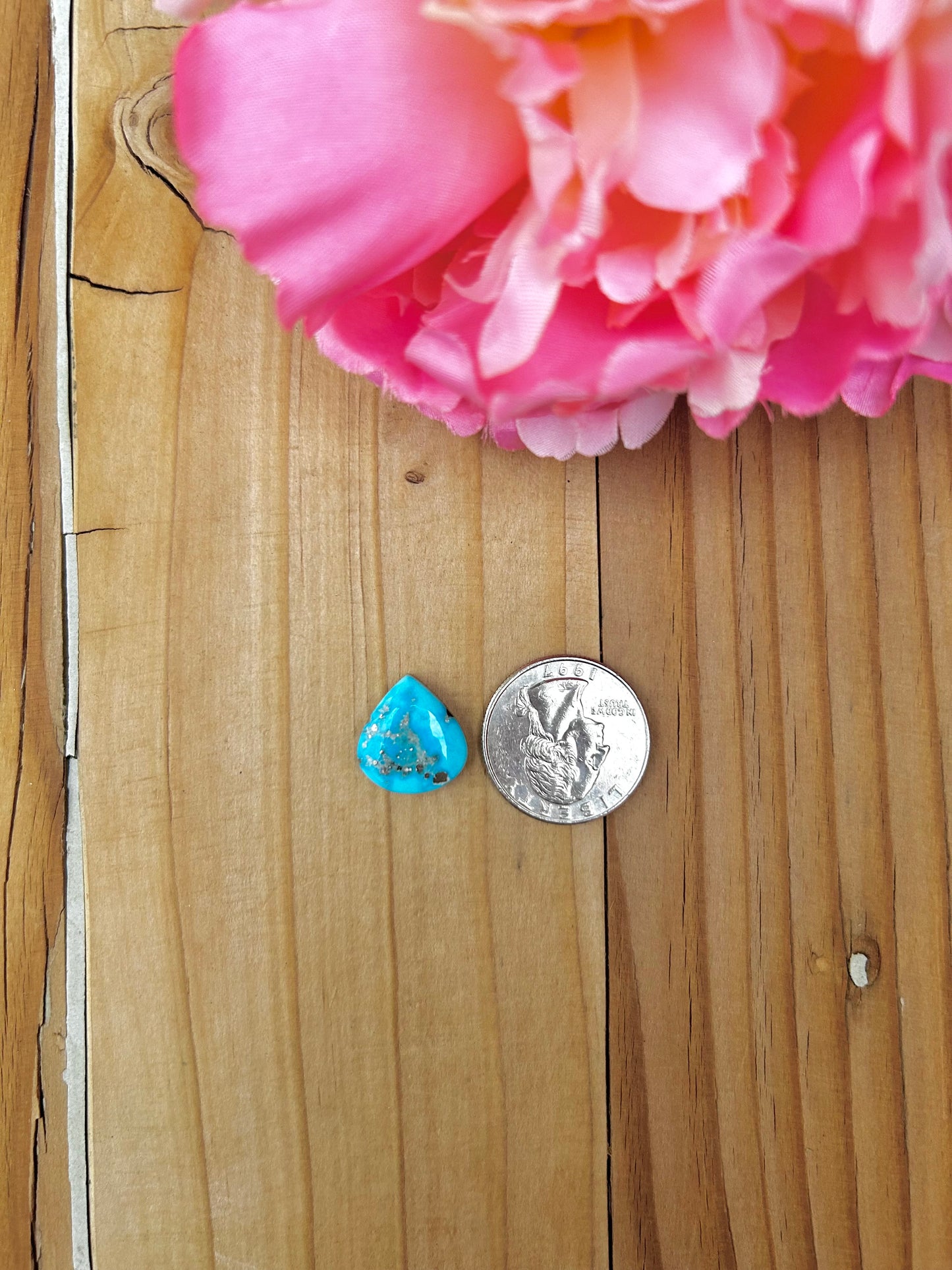 Blue Bird Turquoise Cabs
