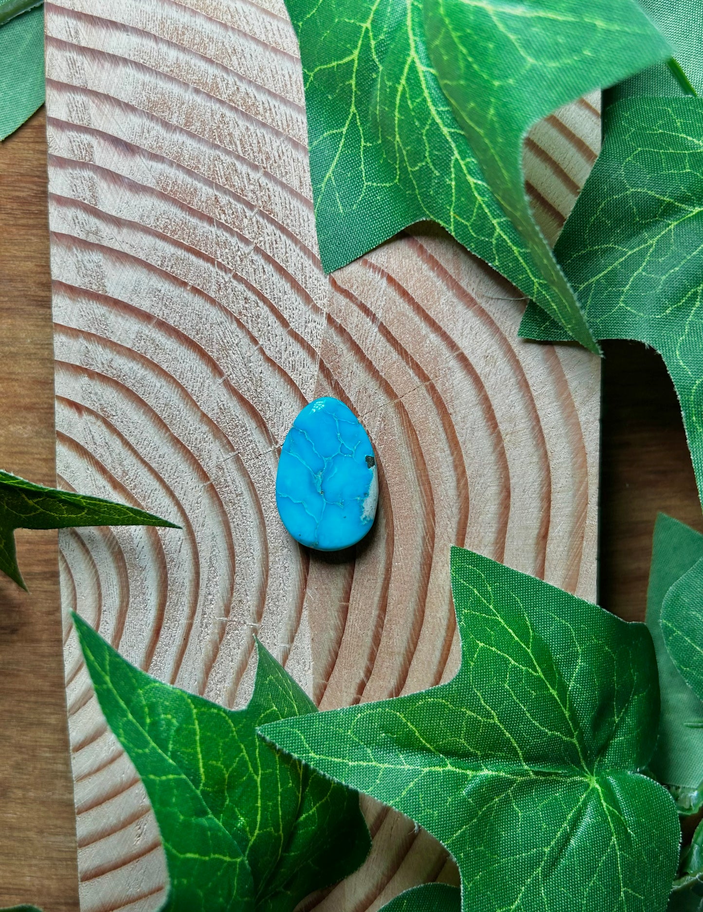 Blue Bird Turquoise Cabs
