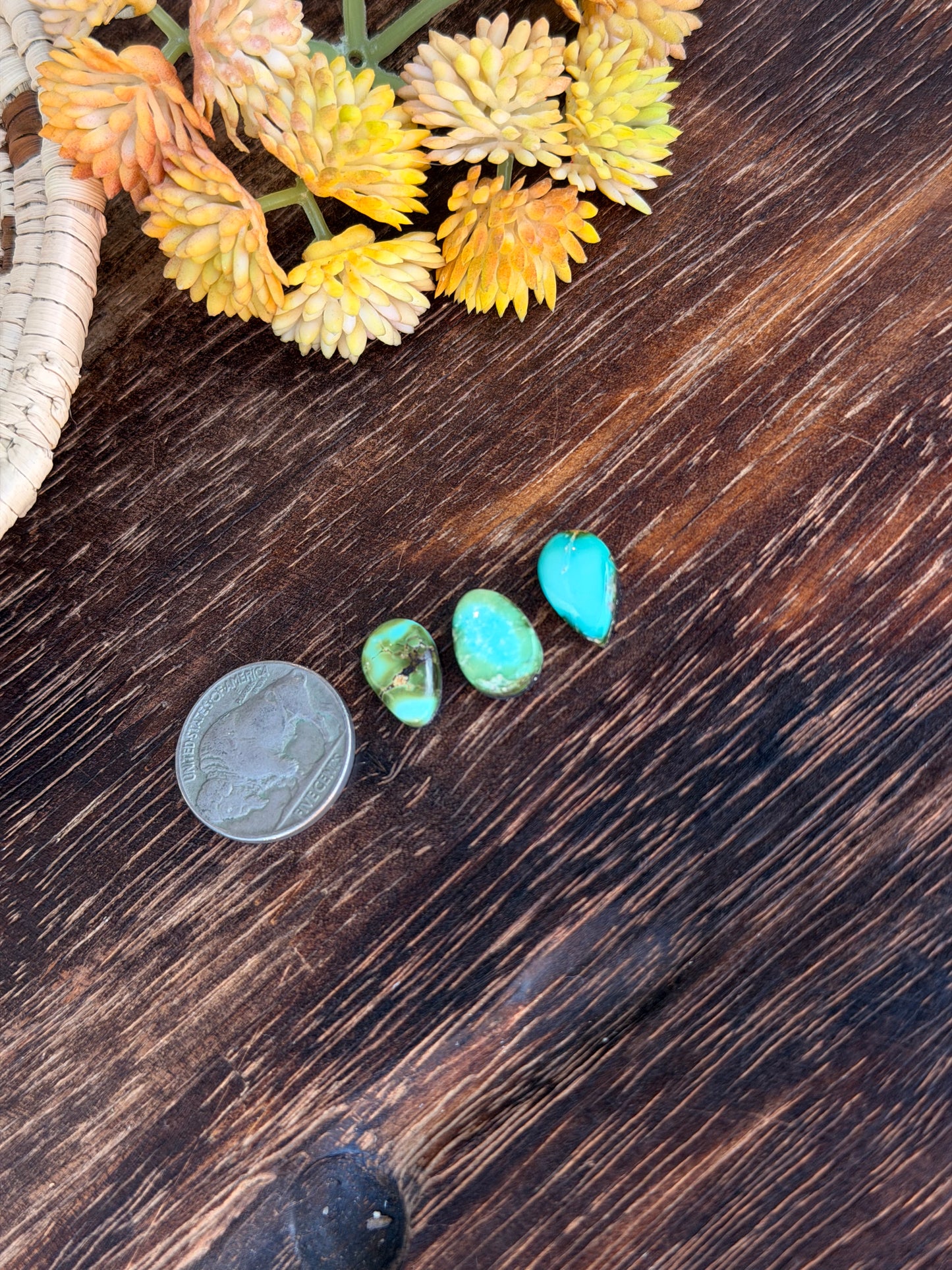 Sonoran Mountain Turquoise Cabs