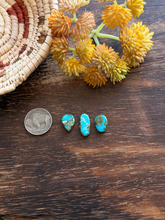 Sonoran Mountain Turquoise Cabs