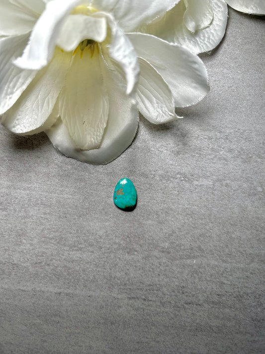 Kingman Turquoise Cab
