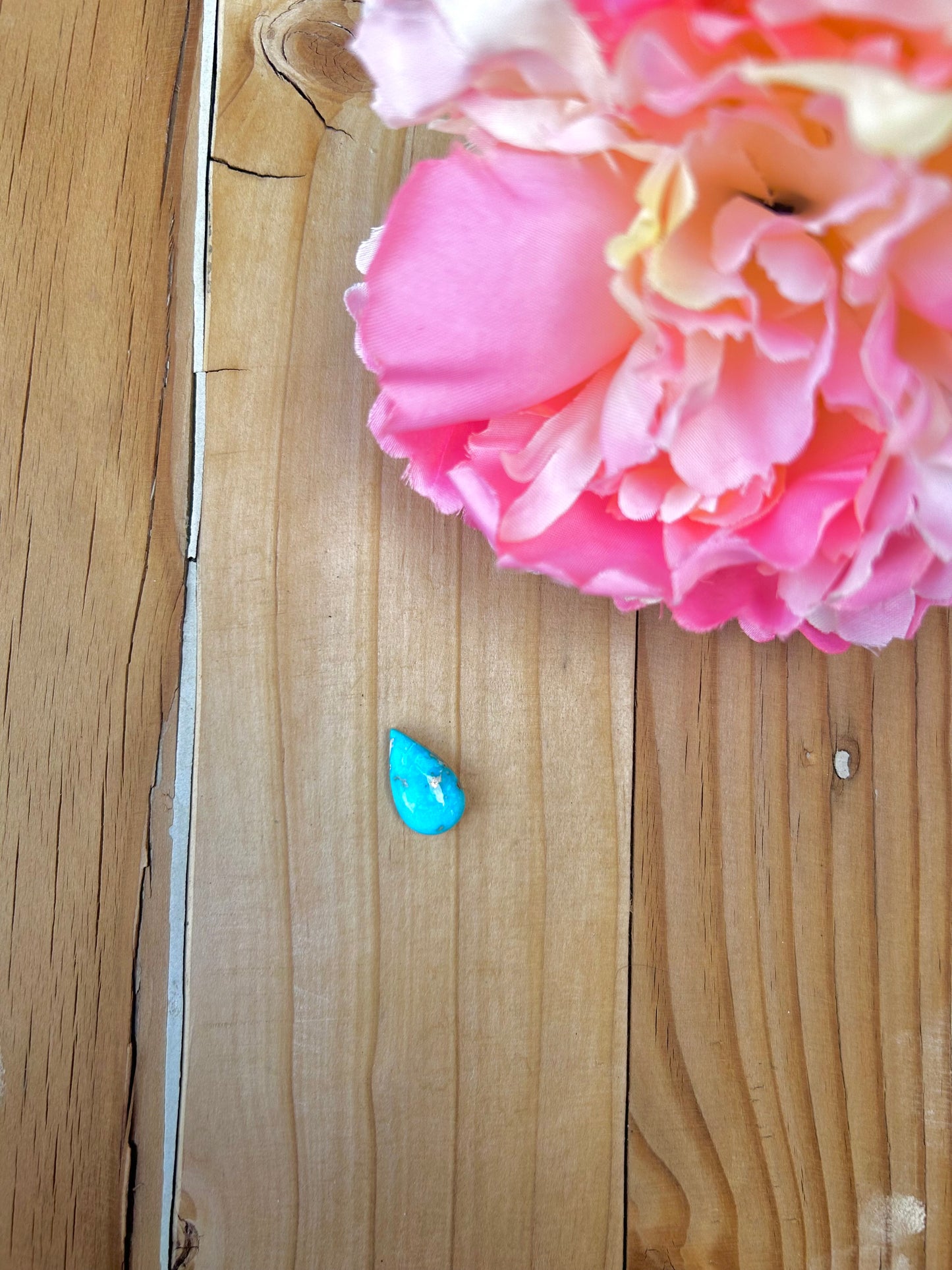 Blue Bird Turquoise Cabs