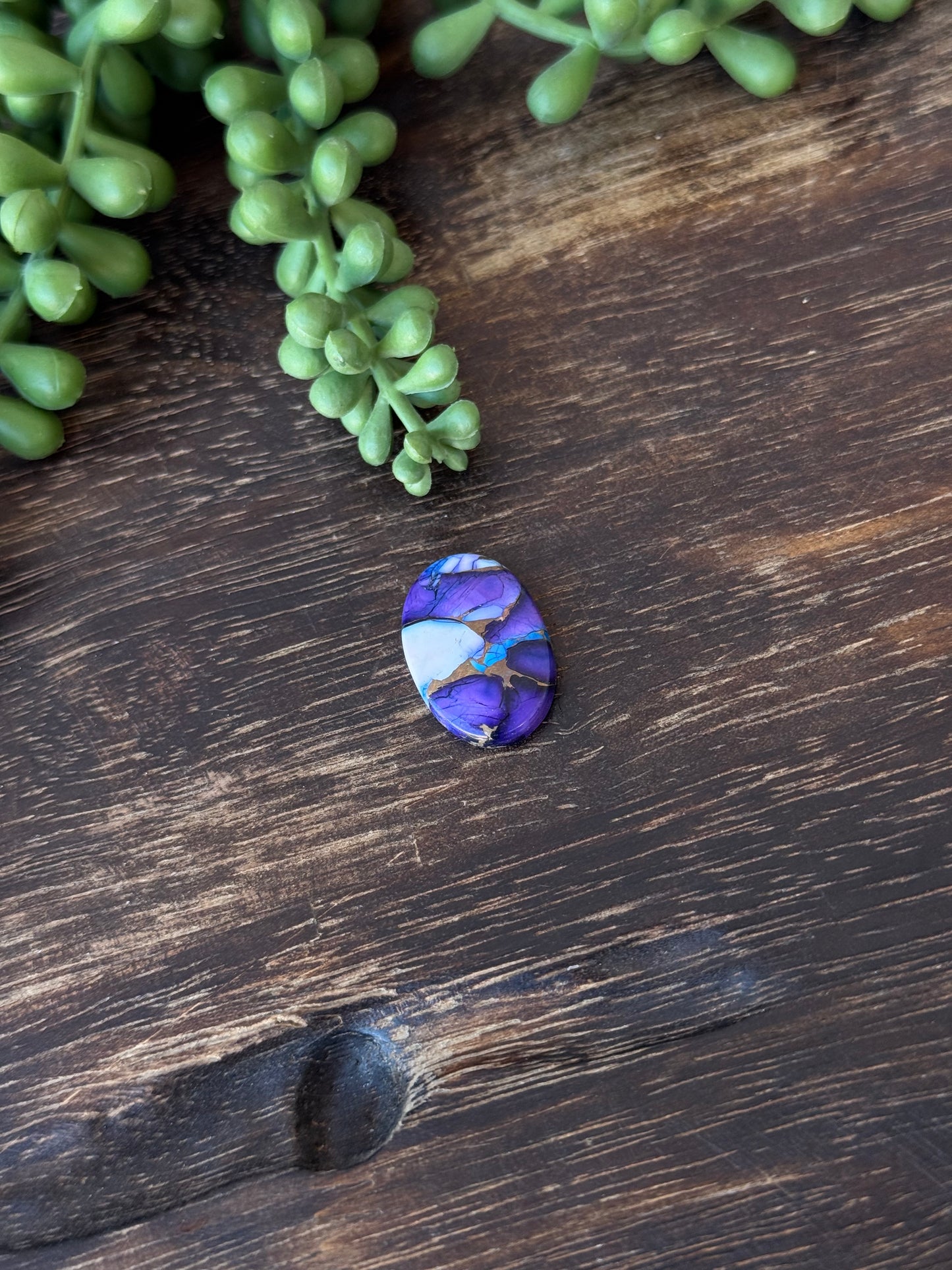 Purple Dahlia Composite Cabs