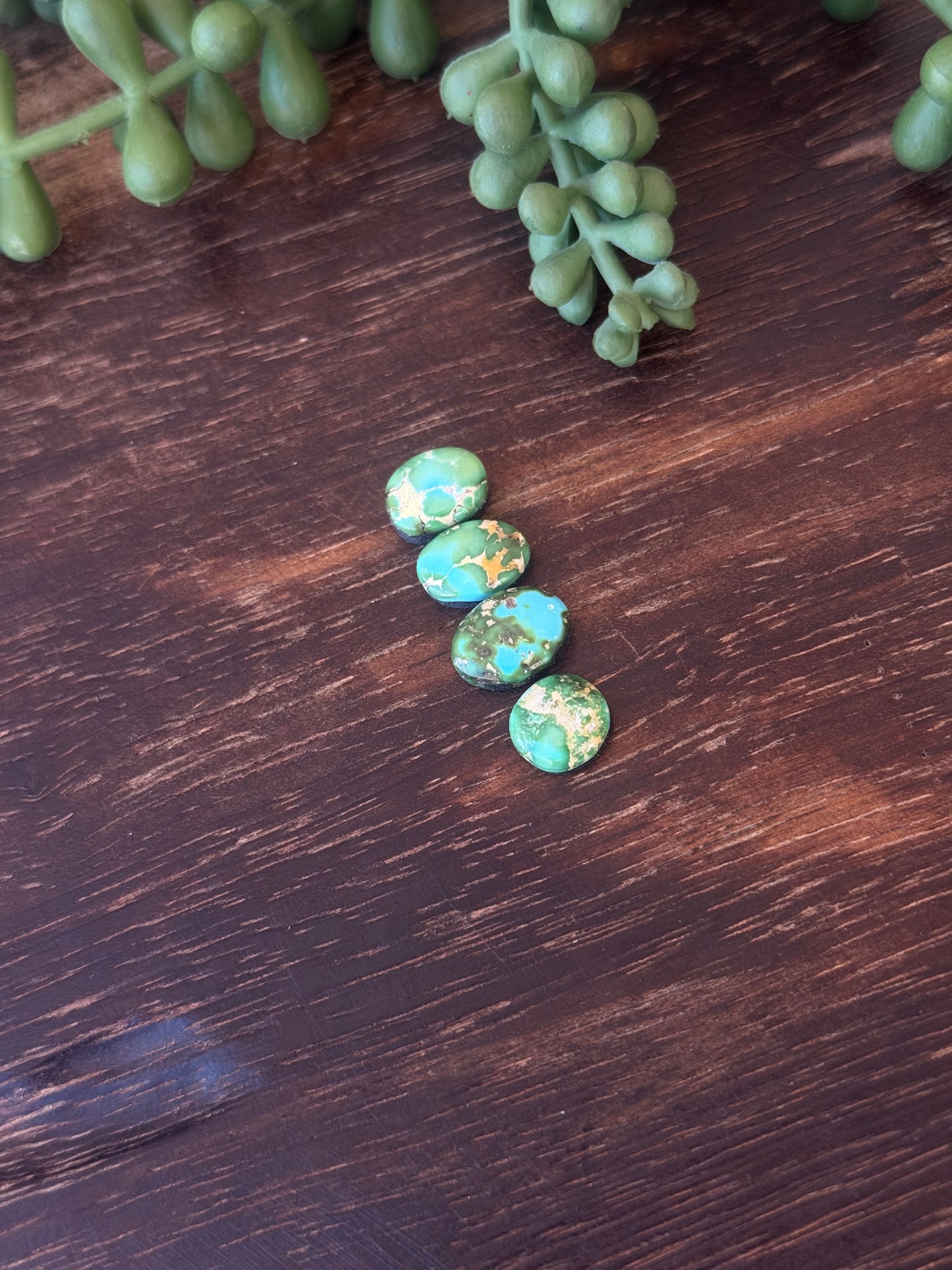 Sonoran Mountain Turquoise Cabs