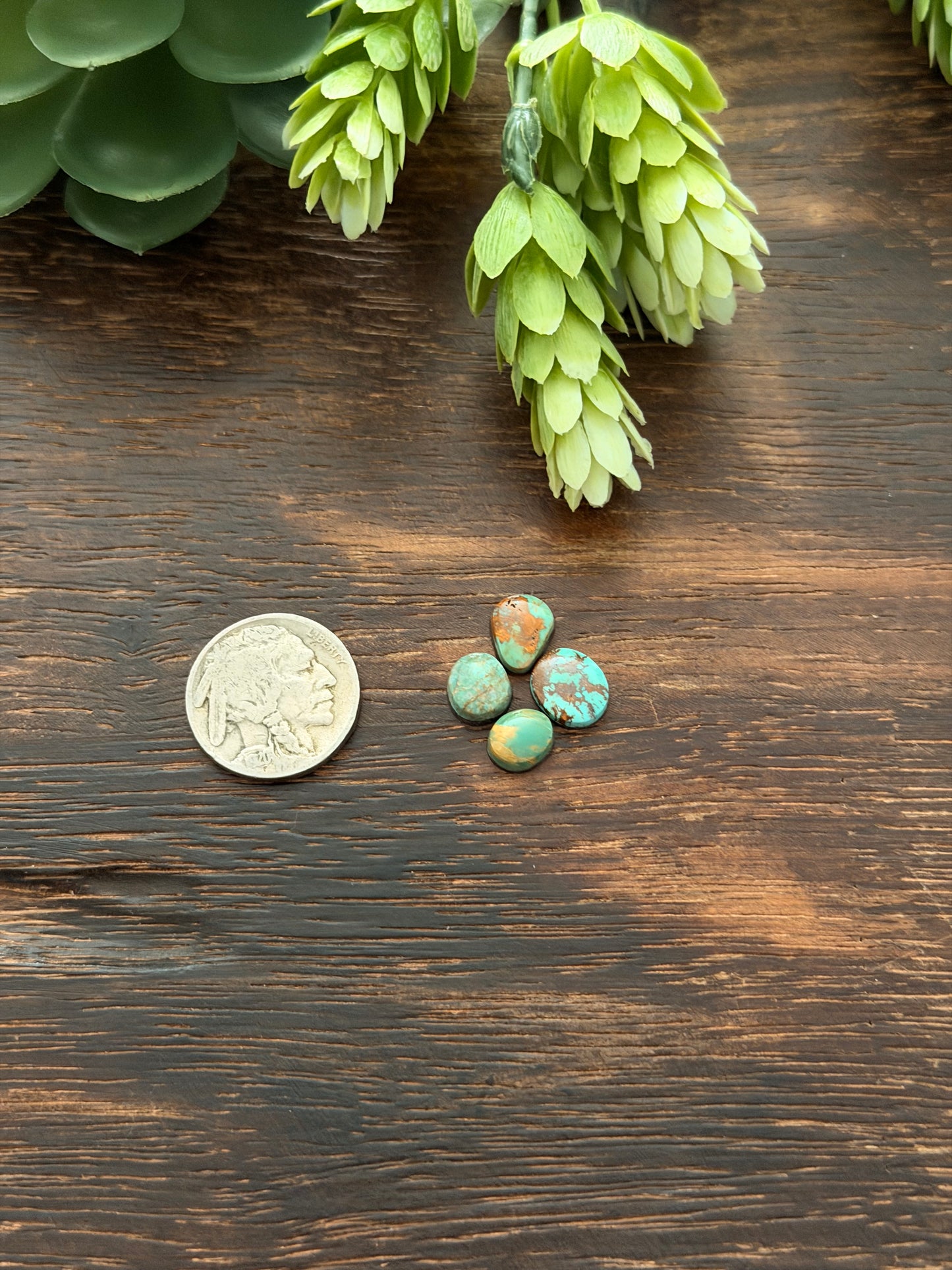 Evans Turquoise Cabs
