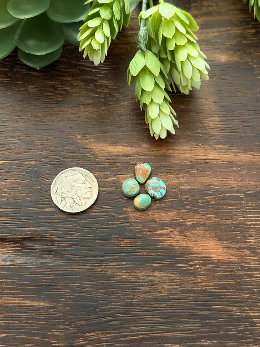 Evans Turquoise Cabs