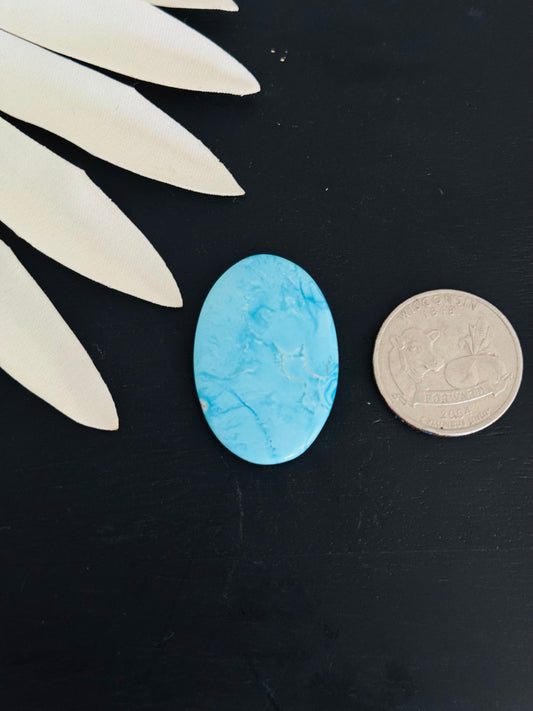 Blue Bird Turquoise Cabs