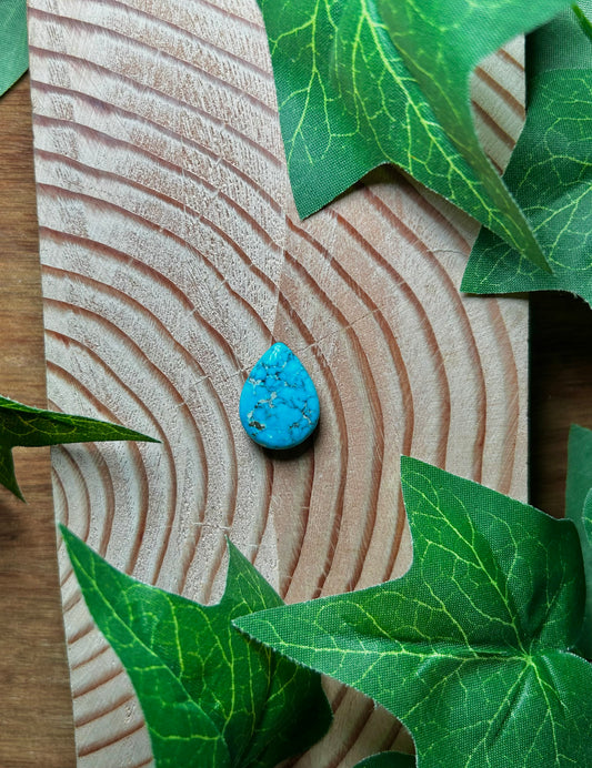 Blue Bird Turquoise Cabs
