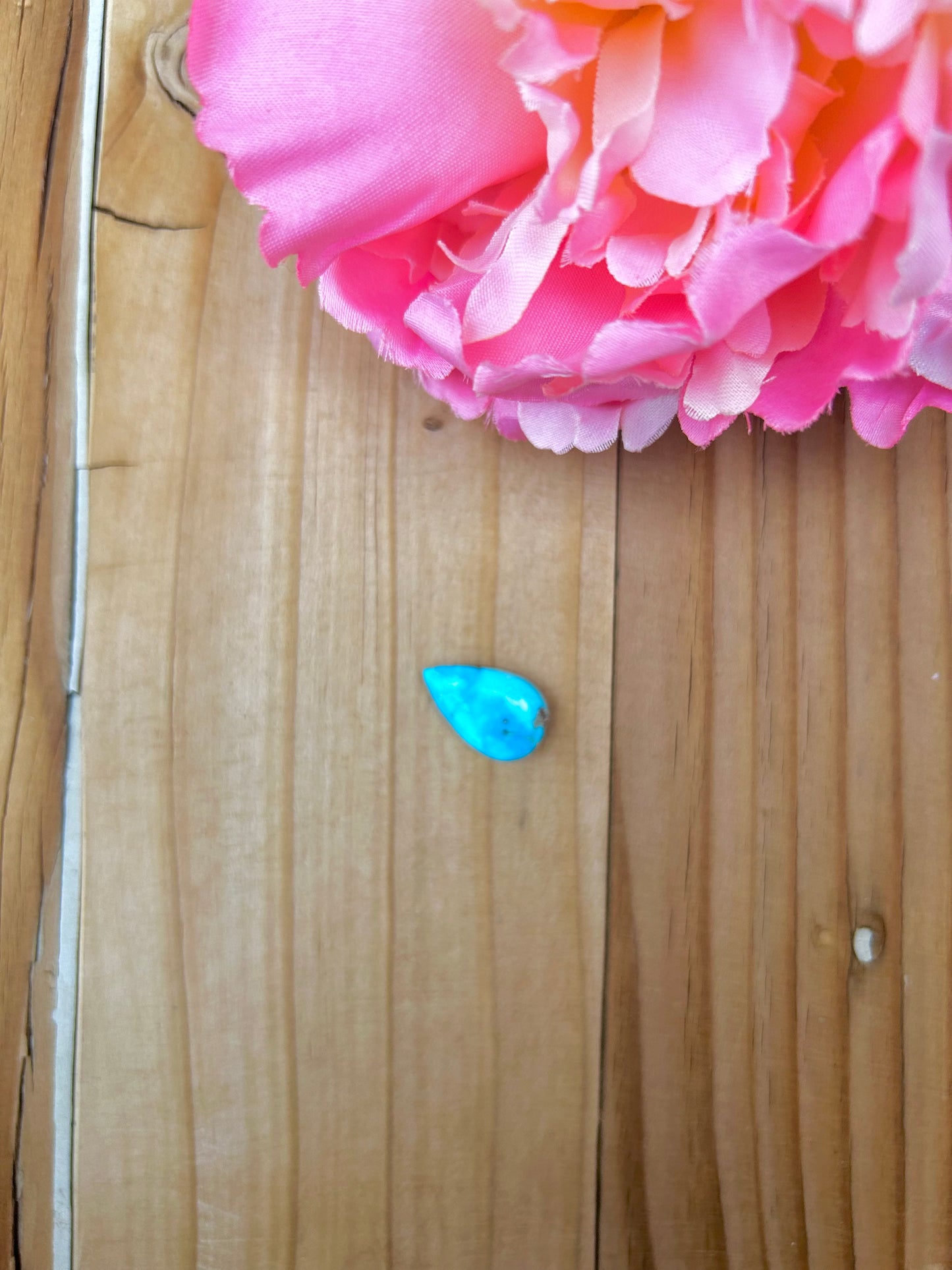Blue Bird Turquoise Cabs