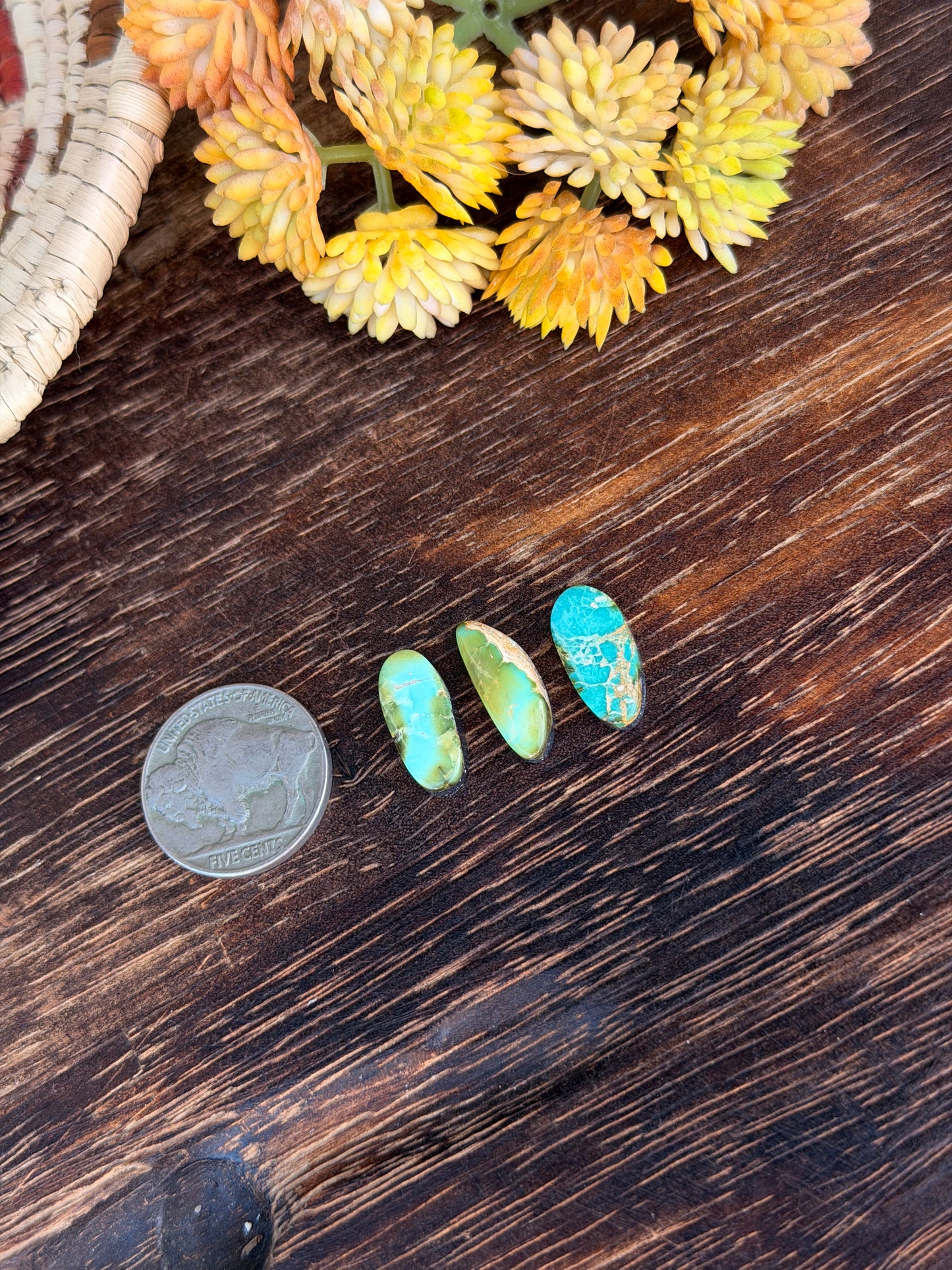 Sonoran Mountain Turquoise Cabs