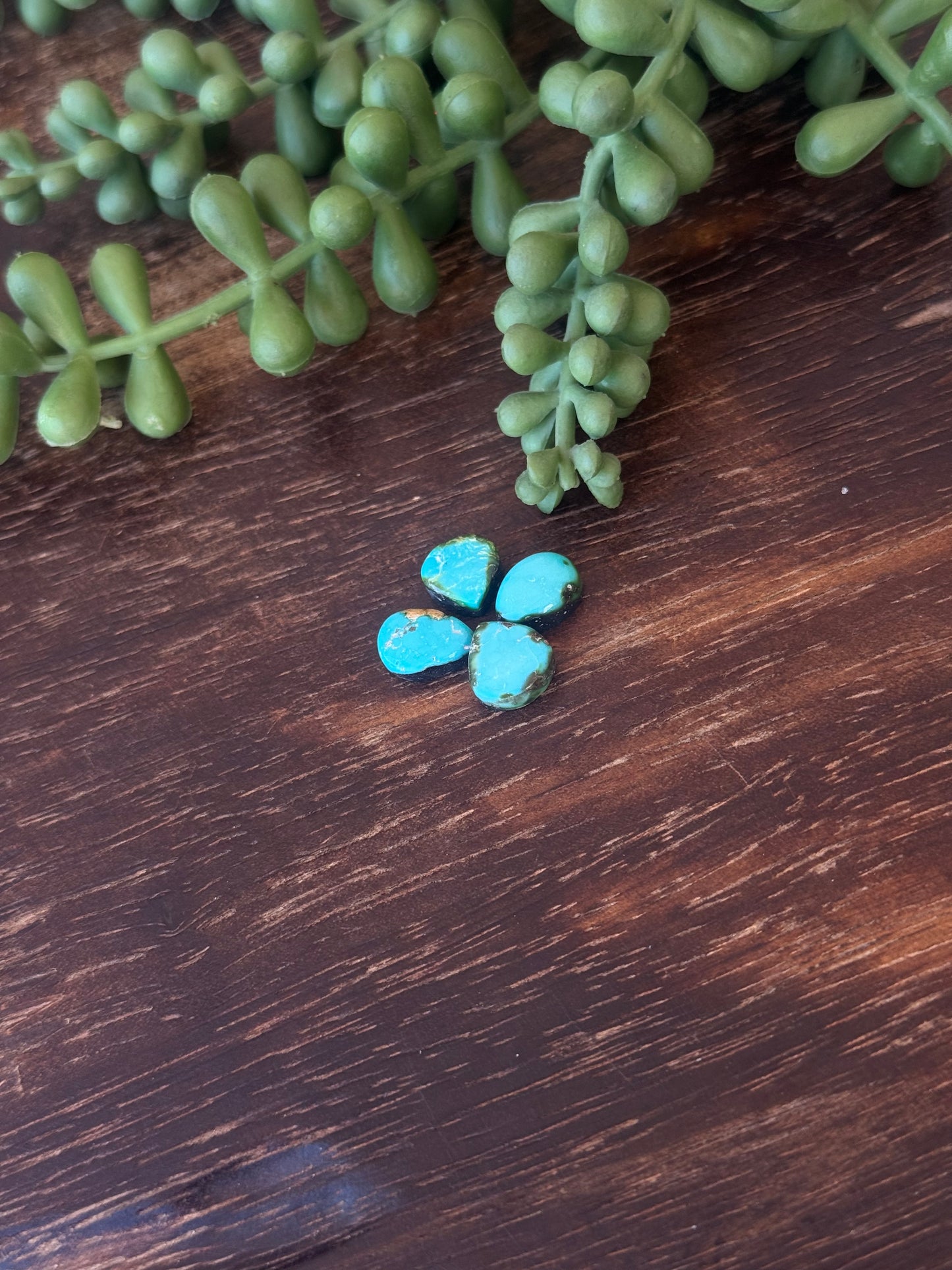 Sonoran Mountain Turquoise Cabs