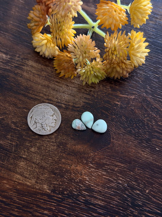 Paloma Variscite Cabs