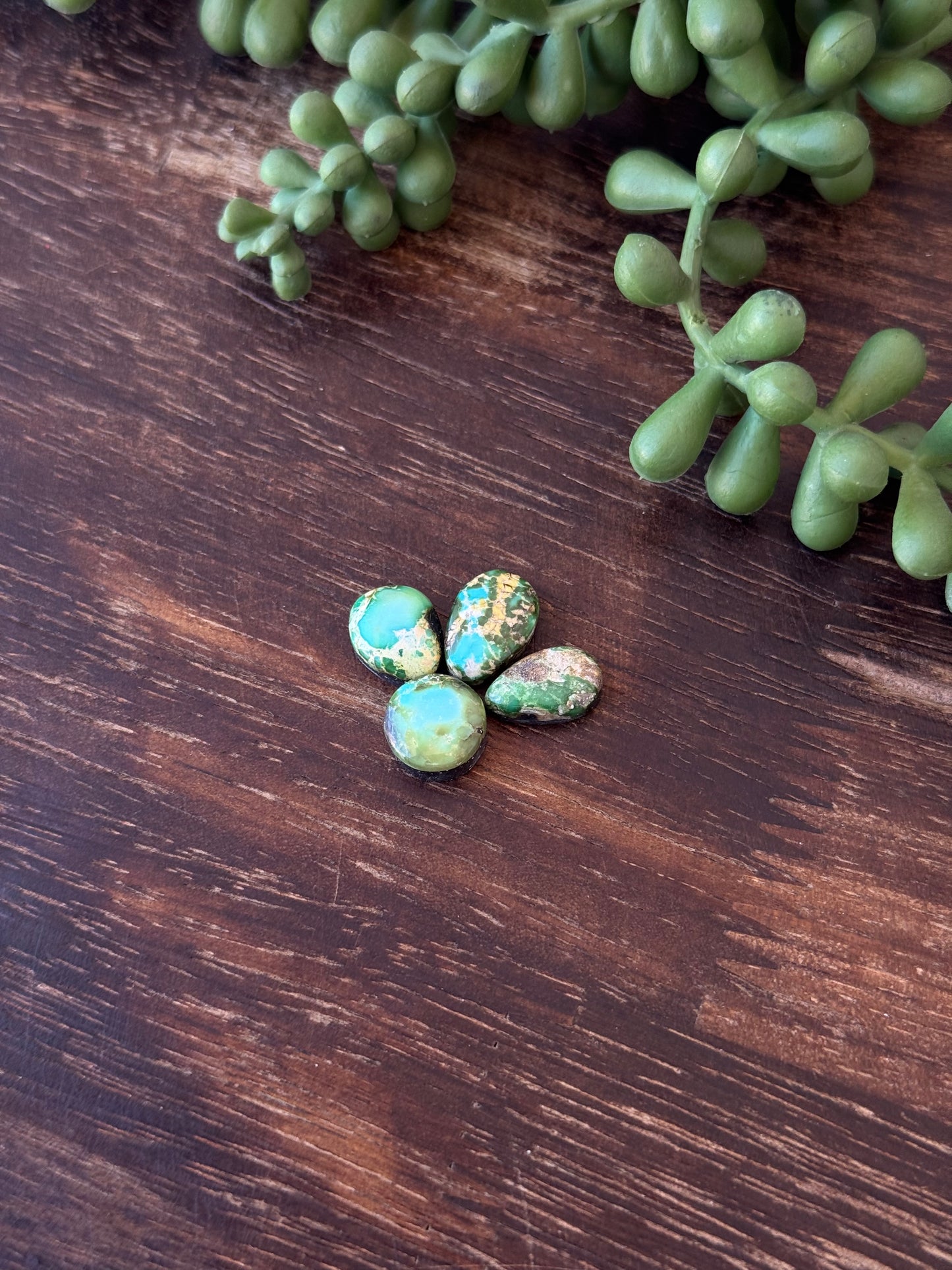 Sonoran Mountain Turquoise Cabs