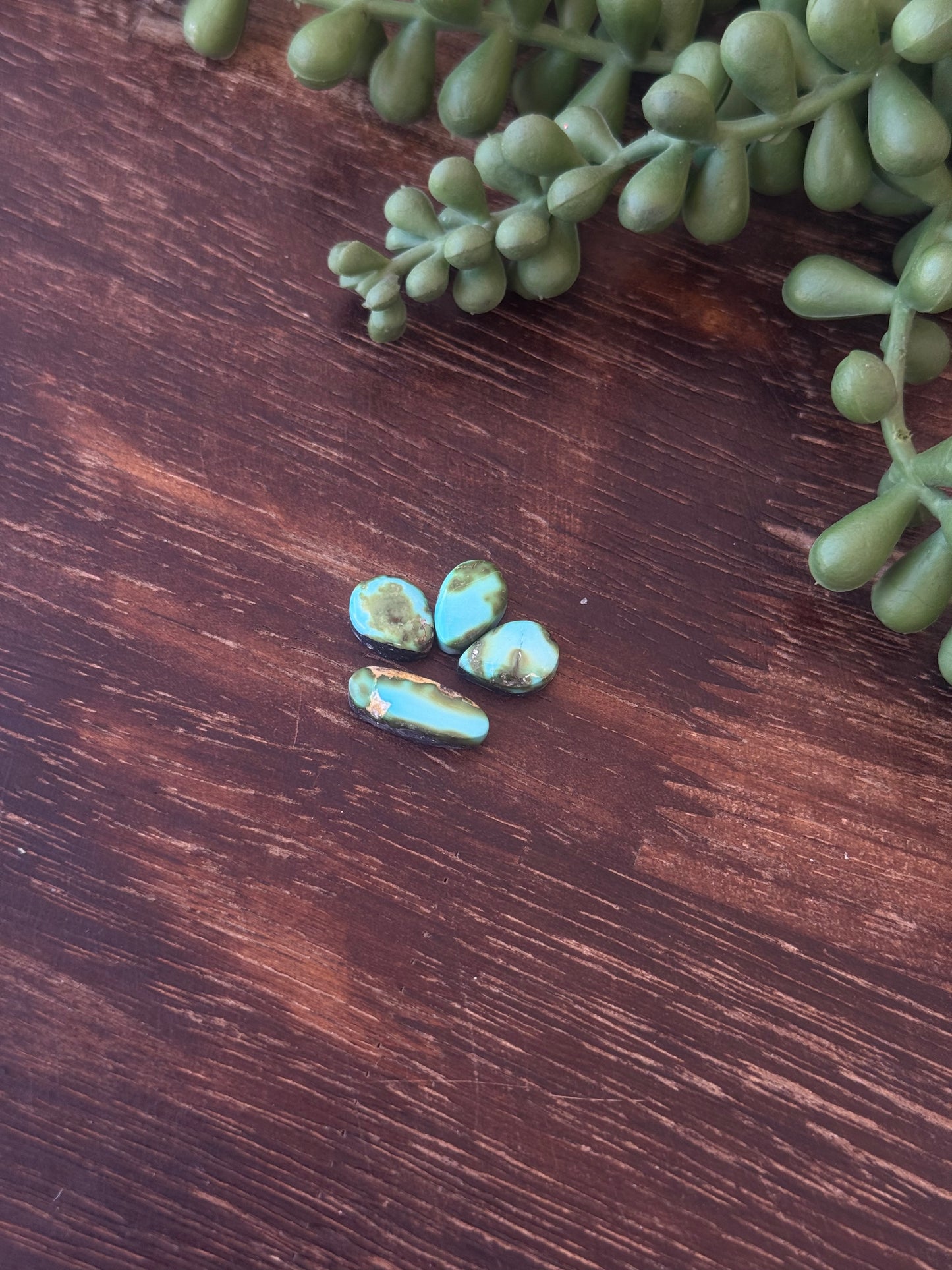 Sonoran Mountain Turquoise Cabs