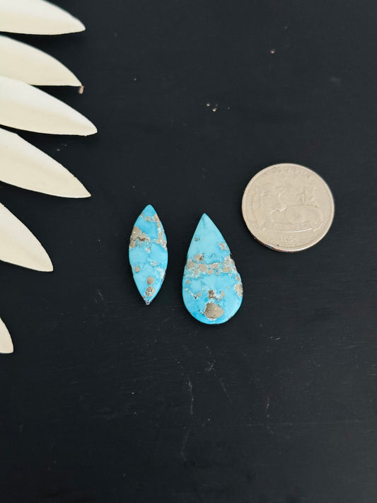 Blue Bird Turquoise Cabs